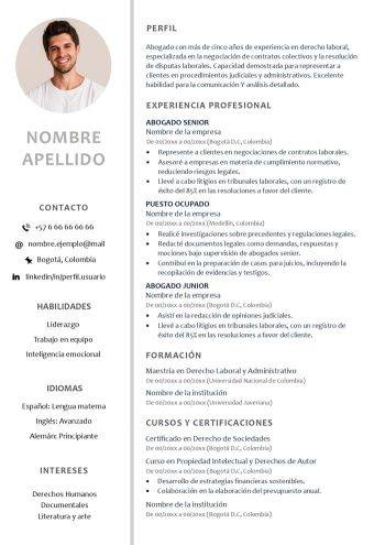 modelo hoja de vida ats amigable gris