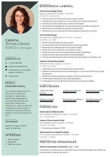 plantilla hoja de vida tokio